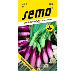 Cibule ROSSA DI FIRENZE, červená, jarní, svazková, bal. 2 g