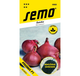 Cibule šalotka CAMELOT F1, bal. 50 s.