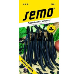 Fazol zahradní keříčkový fialovoluský PURPLE QUEEN, bal. 10 g