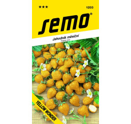 Jahodník YELLOW WONDER, bal. 0,1 g