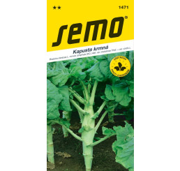 Kapusta krmná ´INKA´, bal. 2 g
