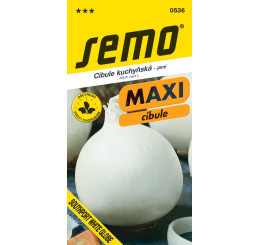 Cibule obecná ´BLANCO DURO´ / SOUTHPORT WHITE GLOBE nahr., bal. 1 g