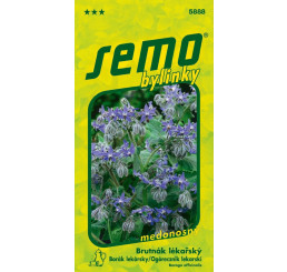 Borago officinalis / Brutňák lékařský, 1,8 g