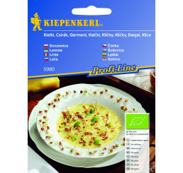 Bio - čočka k naklíčení, bal. 60 g