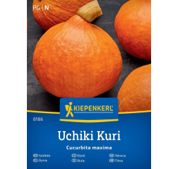 Dýně Uchiki Kuri, bal. 5 sem.