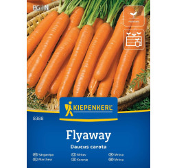 Mrkev Flyaway, bal. na 4 m