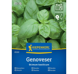 Bazalka širokolistá, bal. na ca. 150 r.