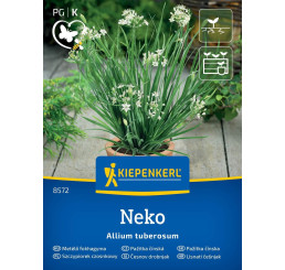 Allium tuberosum / Pažitka čínská Neko, bal. na 100 r.
