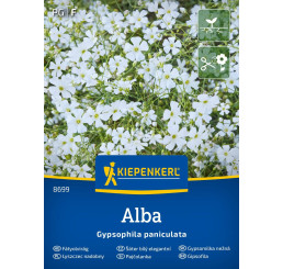 Gypsophila Panicul. Bílá, bal. na 25 r.