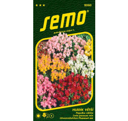 Antirrhinum majus / Hledík větší ´TOM POUCE´, bal. 0,5 g