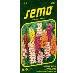 Antirrhinum majus / Hledík větší ´MAXIMUM´, bal. 0,5 g