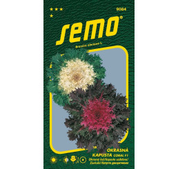Brassica oleracea / Kapusta okrasná ´CORAL F1 MIX´, bal. 20 s.