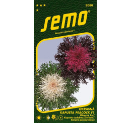 Brassica oleracea / Kapusta okrasná ´PEACOCK F1 MIX ´, bal. 20 s.