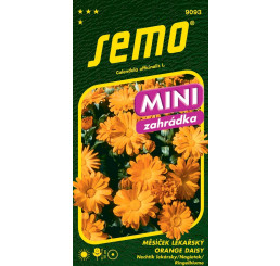 Calendula officinalis / Měsíček lékařský ´ORANGE DAISY ´, bal. 0,6 g