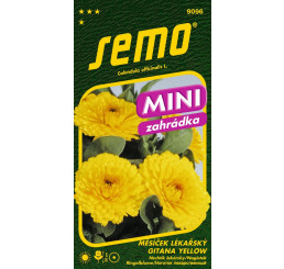 Calendula officinalis L. / Měsíček lékařský GITANA YELLOW, 20 s.