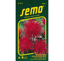 Callistephus chin. / Astra čínská ´ELECTRIC ČERVENÁ´, bal. 0,5 g