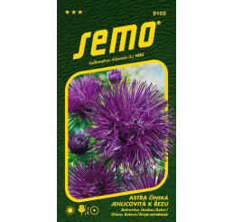 Callistephus chin. / Astra čínská ´ELECTRIC MODRÁ´, bal. 0,5 g