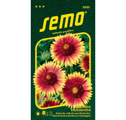 Gailardia grandiflora / Kokarda sličná ´ŽLUTOHNĚDÁ´, bal. 0,2 g