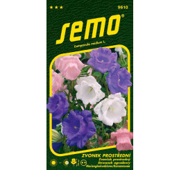 Campanula medium / Zvonek prostřední ´CUP and SAUCERS SMĚS´, bal. 0,3 g
