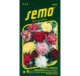 Dianthus caryophyllus / Hvozdík karafiát ´GRENADIN´, bal. 0,4 g