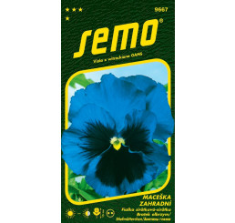 Viola x witr. / Maceška zahradní velkokvětá ´MODRÁ´, bal. 0,3 g