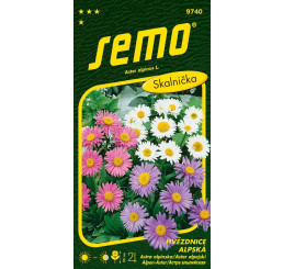 Aster alpinus / Hvězdnice alpská ´SMĚS BAREV´, bal. 0,7 g
