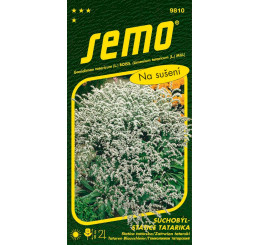 Goniolimon tataricum / Suchobýl tatarský - statice tatarika ´BÍLÝ´, bal. 0,2 g