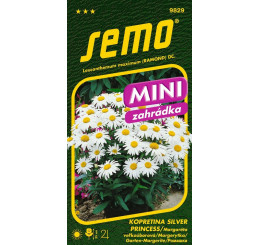 Leucanthemum maximum / Kopretina bílá ´SILVER PRINCESS´, bal. 0,3 g