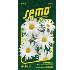 Leucanthemum maximum / Kopretina bílá ´SHASTA DAISY´, bal. 0,8 g