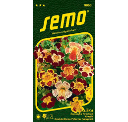 Mimulus tigrinus / Kejklířka ´VELKOKVĚTÁ´, bal. 0,1 g