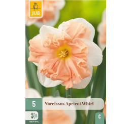 Narcis ´Apricot Whirl´ / Narcis, bal. 5 ks, 12/14