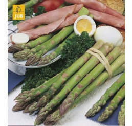 Asparagus Gijnlim / Chřest zelený, bal. 1 podzem., I
