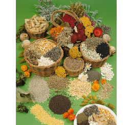Kolekce semen zeleniny ´MEDIUM´, mix semen