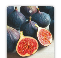 Ficus carica ´Black Mission´ / Černoplodý fíkovník, 120-140 cm, C10