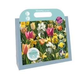 Směs tulipánů a narcisů ´Bloomy Garden´ , bal. 25 ks, I, bag