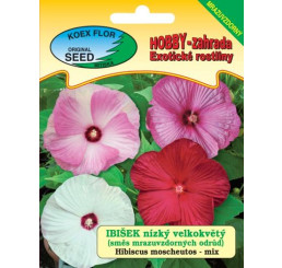 Hibiscus moscheutos / Velkokvětý ibišek směs, nízký, velkokvětý,  bal. 5 s