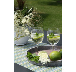 Mentha spicata 'Hugo' BIO / Koktejlová máta, K12