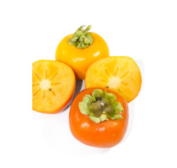 Diospyros kaki ´Cangzhou´ / Tomel japonský / Hurmi kaki, 80-100 cm, C2