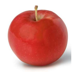 Malus domestica ´Idared´ / Jabloň zimní, MM106