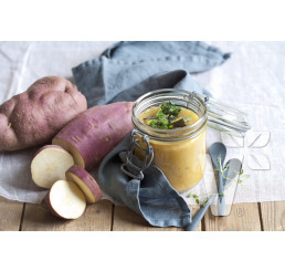 Ipomoea batata ´Erato® Gusto / Sladký brambor, K12