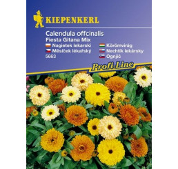 Calendula Fiesta Gitana, bal. na ca. 60 r.