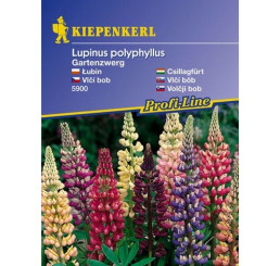 Lupinus pol. / Zahradní trpaslík, bal. na 20 r.