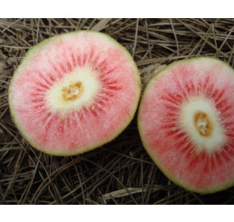 Actinidia arguta ´Ken´s Red´ / Drobnoplodé kiwi, K9, samičí r.