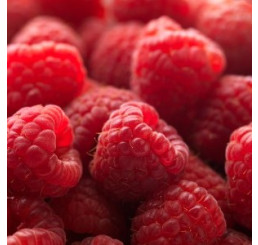 Rubus idaeus ´Polesie´ / Maliník červený, 60-80cm, K9