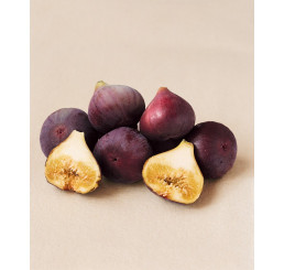 Ficus carica ´Brown Turkey´ / Černoplodý fíkovník, 20-25 cm, K9
