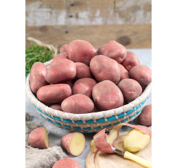 Solanum Tub. ´Rosara´ / Sadbové brambory růžové, velmi rané, bal. 5 kg, I.