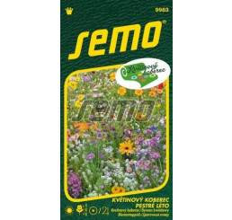 Luční květy, květinový koberec -PESTRÉ LÉTO, bal. 6 g