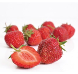 Fragaria ananassa ´Senga Sengana´ / Jahoda poloraná, bal. 10 ks, VK