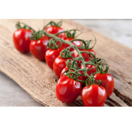 Rajče cherry 'Royal Dreams®Strabena, přirozeně rezistentní, roubovaná rostlina, K12