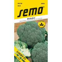 Brokolice LUCKY F1, bal. 40 s.